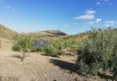 Chalet independiente con terreno en venta en la España, Lorca, ref: TR323227 foto