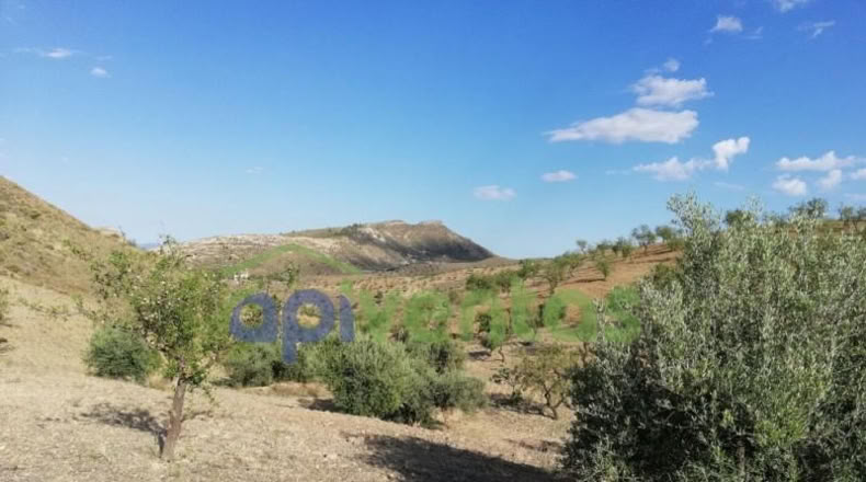 Murcia - Lorca - 50000m2