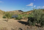Chalet independiente con terreno en venta en la España, Lorca, ref: TR323227 foto