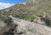 Chalet independiente con terreno en venta en la España, Lorca, ref: TR323227 foto