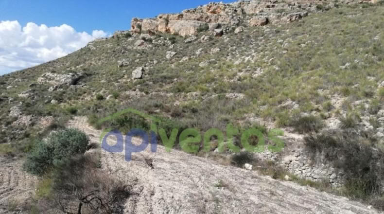 Murcia - Lorca - 50000m2