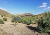 Chalet independiente con terreno en venta en la España, Lorca, ref: TR323227 foto