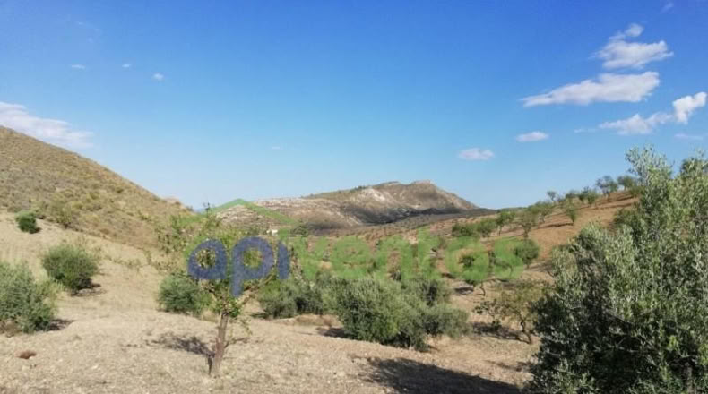 Murcia - Lorca - 50000m2