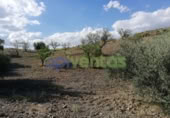 Chalet independiente con terreno en venta en la España, Lorca, ref: TR323227 foto