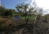 Chalet independiente con terreno en venta en la España, Lorca, ref: TR323227 foto
