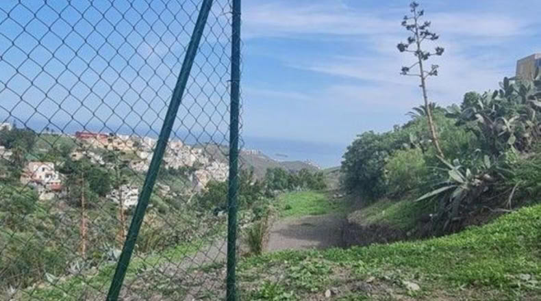 Las Palmas - Las Palmas de Gran Canaria - 1478m2