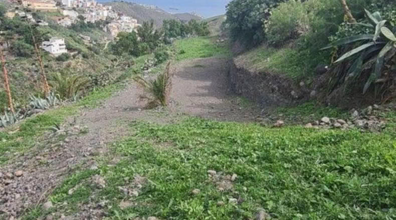 Las Palmas - Las Palmas de Gran Canaria - 1478m2