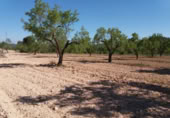 Xalet independent amb terreny en venda a la España, la Vall del Tormo, ref.: TR293535 foto