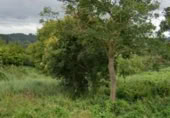Non-developable land for sale on España, A Cruz de Oleiros, ref: TR113541 photo