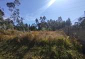 Sòl urbà en venda a la España, Pazos de Borbén, ref.: TR343759 foto
