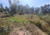 Sòl urbà en venda a la España, Pazos de Borbén, ref.: TR343759 foto
