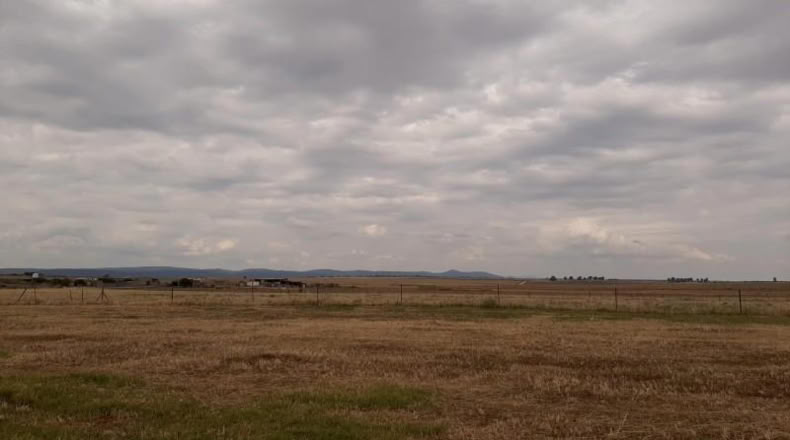 Cáceres - Malpartida de Cáceres - 1500m2