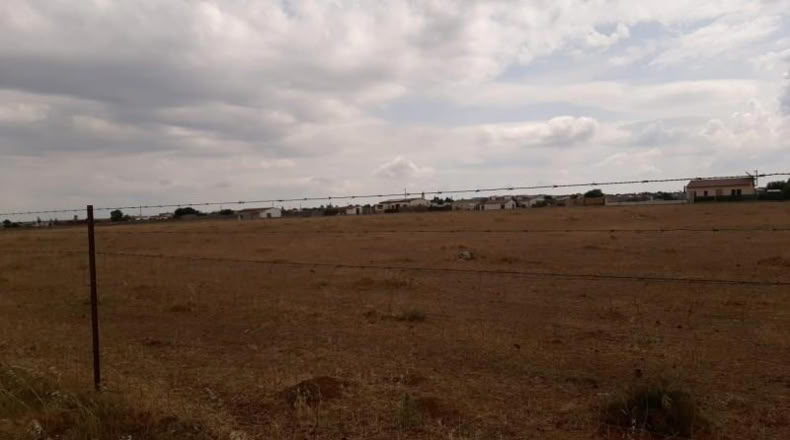 Cáceres - Malpartida de Cáceres - 1500m2