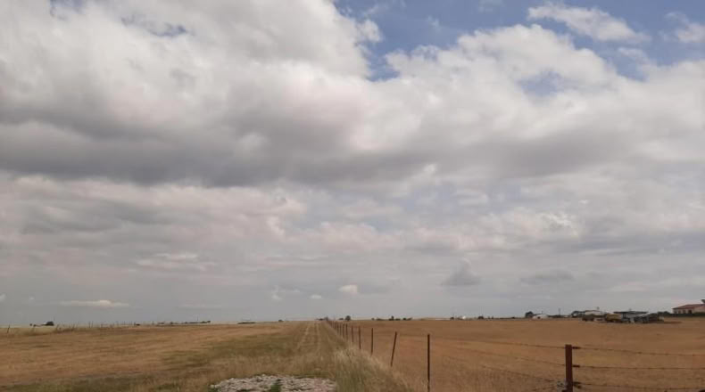 Cáceres - Malpartida de Cáceres - 1500m2