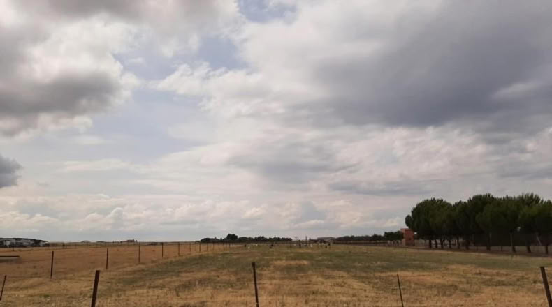 Cáceres - Malpartida de Cáceres - 1500m2