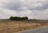 Terreny no urbanitzable en venda a la España, Malpartida de Cáceres, ref.: TR122624 foto