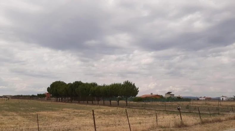 Cáceres - Malpartida de Cáceres - 1500m2