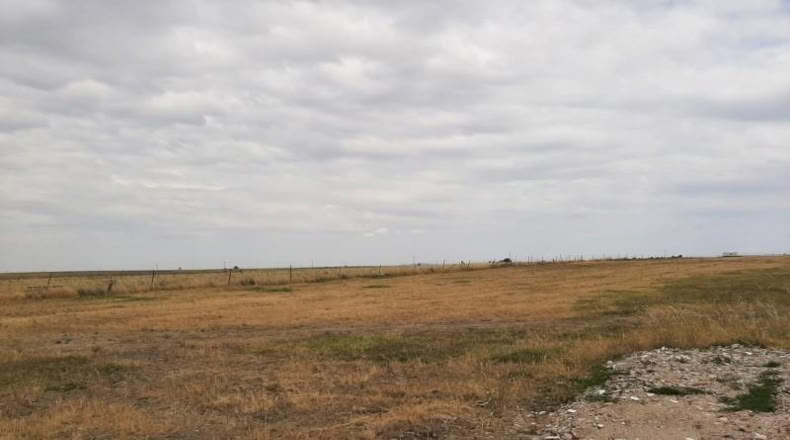 Cáceres - Malpartida de Cáceres - 1500m2