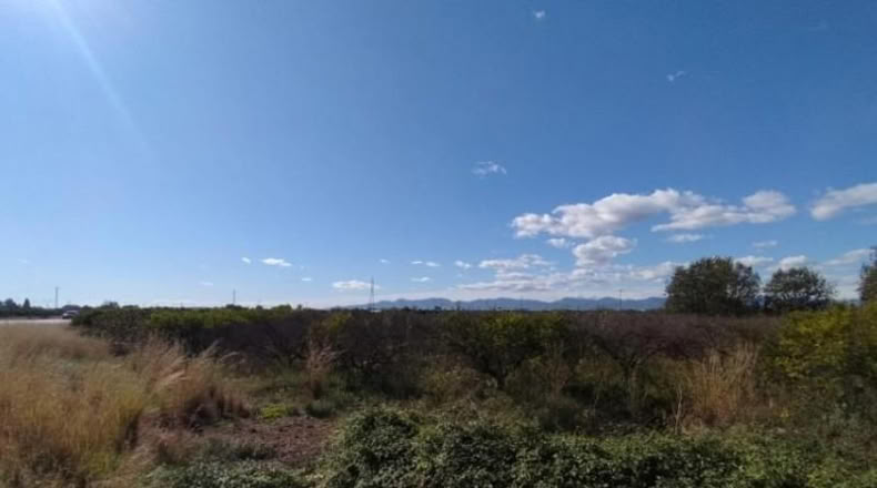 Castellón - la Vall d'Uixó - 417m2