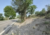 Detached villa with land for sale on España, Padul, ref: TR298210 photo