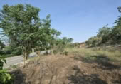 Detached villa with land for sale on España, Padul, ref: TR298210 photo