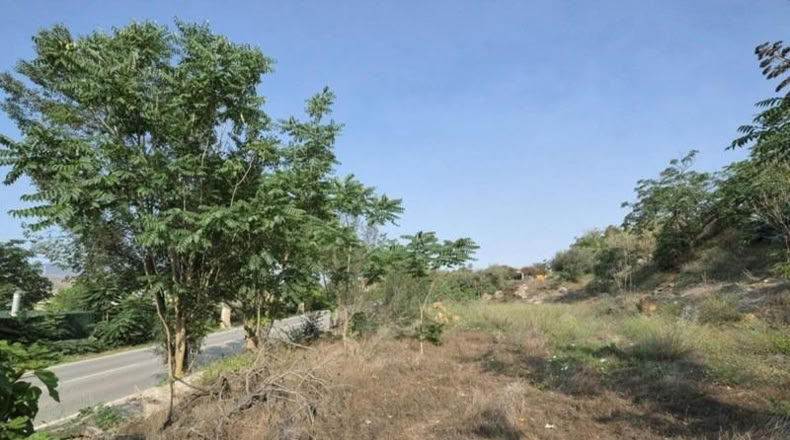 Granada - Padul - 738m2