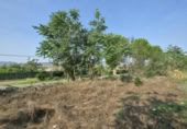 Detached villa with land for sale on España, Padul, ref: TR298210 photo