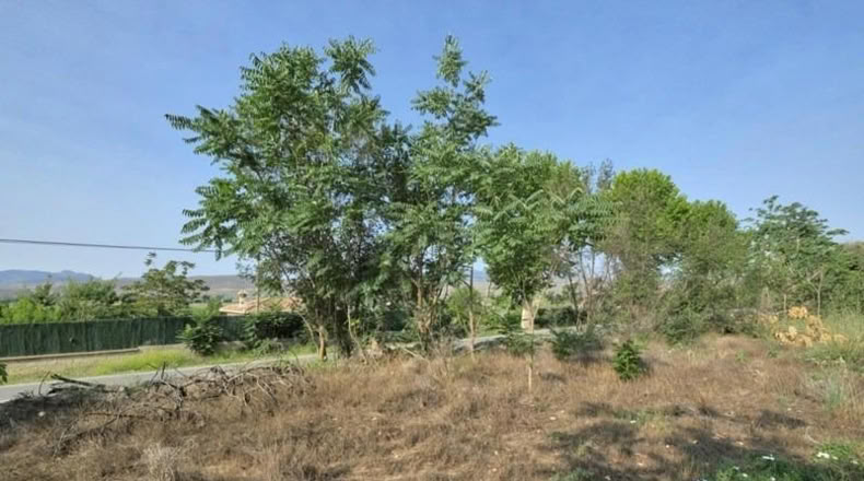 Granada - Padul - 738m2
