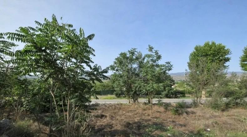 Granada - Padul - 738m2