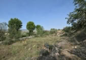 Detached villa with land for sale on España, Padul, ref: TR298210 photo