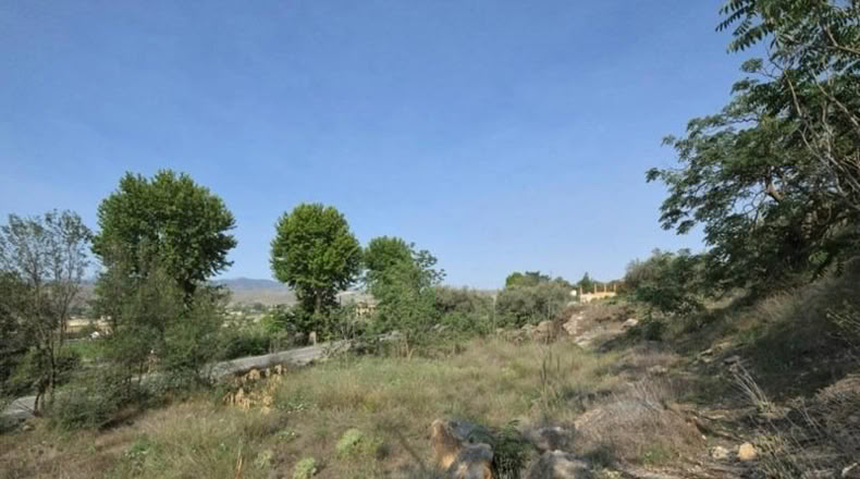 Granada - Padul - 738m2