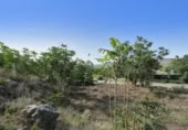 Detached villa with land for sale on España, Padul, ref: TR298210 photo