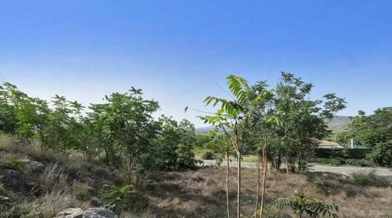 Granada - Padul - 738m2