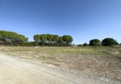 Terreny no urbanitzable en venda a la España, Las Cabezas de San Juan, ref.: TR122984 foto
