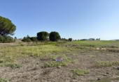 Terreny no urbanitzable en venda a la España, Las Cabezas de San Juan, ref.: TR122984 foto