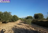 Terreno no urbanizable en venta en la España, Sax, ref: TR369259 foto