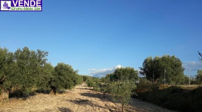Alicante - Sax - 8560m2