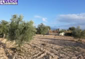 Terreno no urbanizable en venta en la España, Sax, ref: TR369259 foto