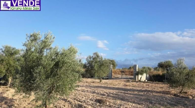 Alicante - Sax - 8560m2