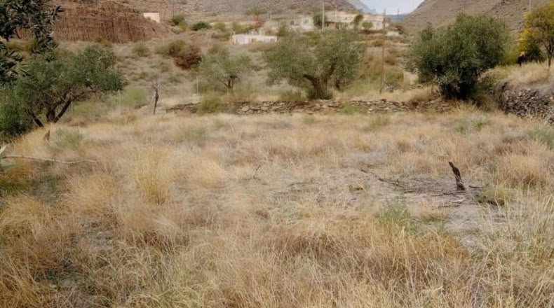 Almería - Gérgal - 900m2