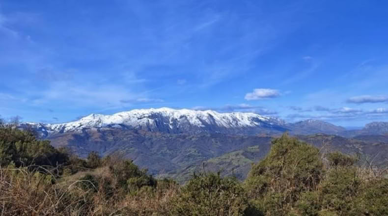 Asturias - Rozá - 11674m2