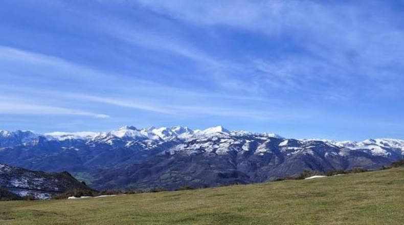Asturias - Rozá - 11674m2