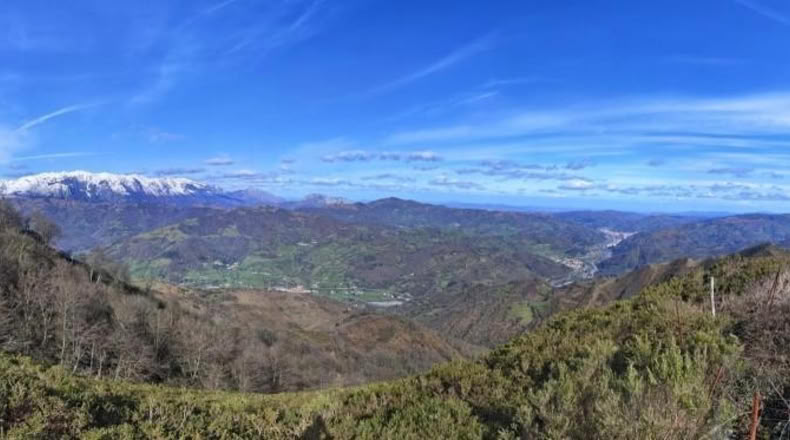 Asturias - Rozá - 11674m2