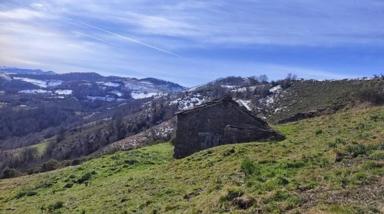 Asturias - Rozá - 11674m2