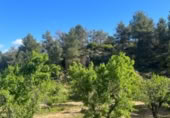Xalet independent amb terreny en venda a la España, Calaceit, ref.: TR308460 foto