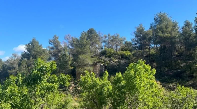Teruel - la Freixneda - 31225m2