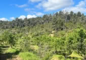 Xalet independent amb terreny en venda a la España, Calaceit, ref.: TR308460 foto