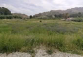 Terreny no urbanitzable en venda a la España, Calasparra, ref.: TR282277 foto