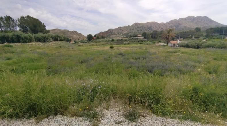 Murcia - Calasparra - 3500m2
