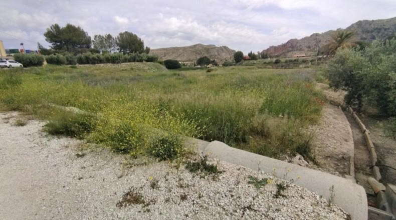 Murcia - Calasparra - 3500m2